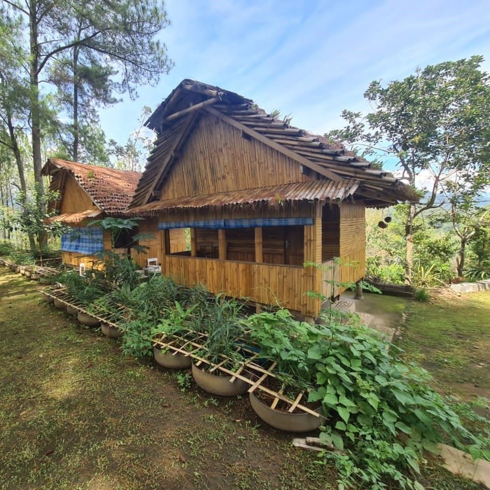 Bamboo cabins for guests
