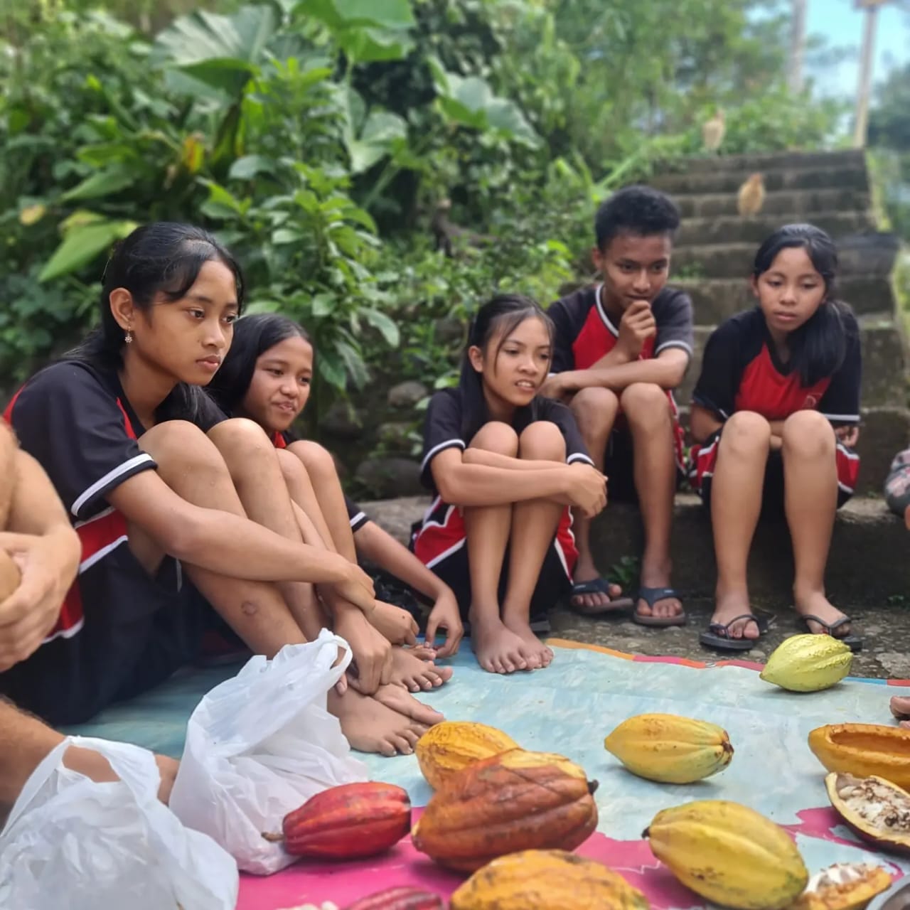 Children learning about cacao