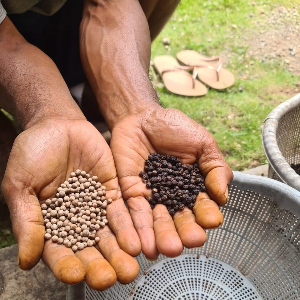 Different coffee beans