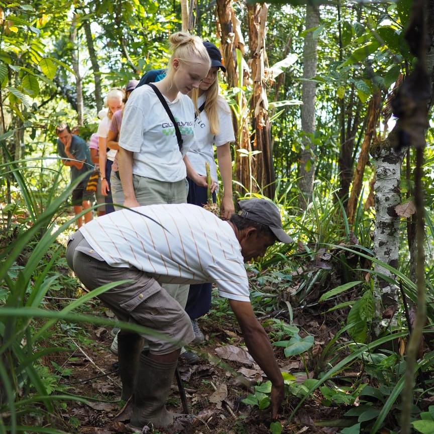 Rice fields behind the property