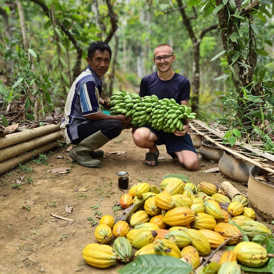 Volunteer helping with harvest
